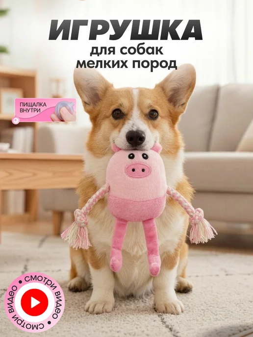 Игрушка для собак мелких пород, вариант
