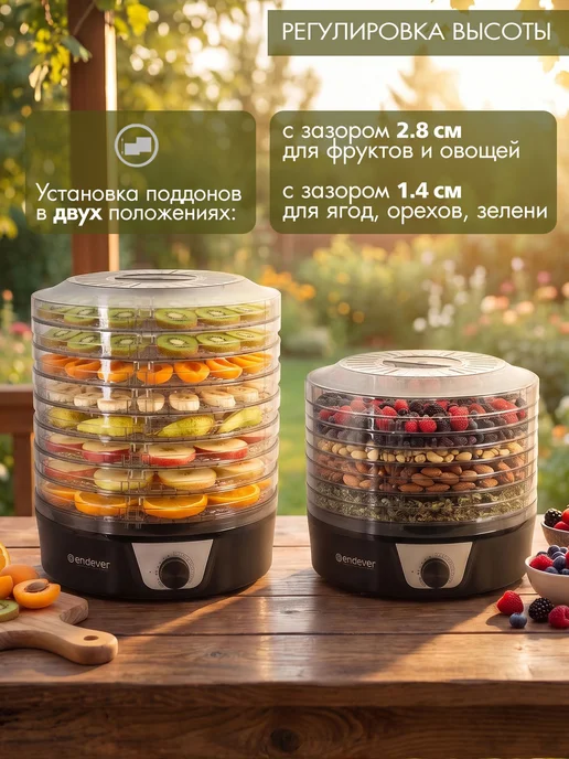 Endever Сушилка для овощей и фруктов дегидратор для продуктов 700 Вт, 700 Вт, фото 3
