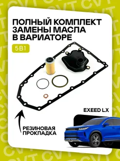 IIS Group Полный комплект фильтров на вариатор. Для Exeed LX