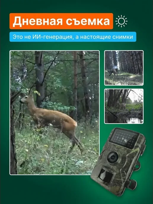 GEGOVIT Фотоловушка для охоты и дачи с дисплеем и флешкой, вариант, фото 4
