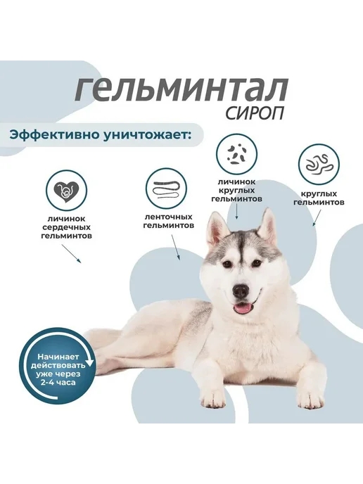 Neoterica Гельминтал для собак от гельминтов 10кг 10мл, 10 кг, 10 мл, фото 3
