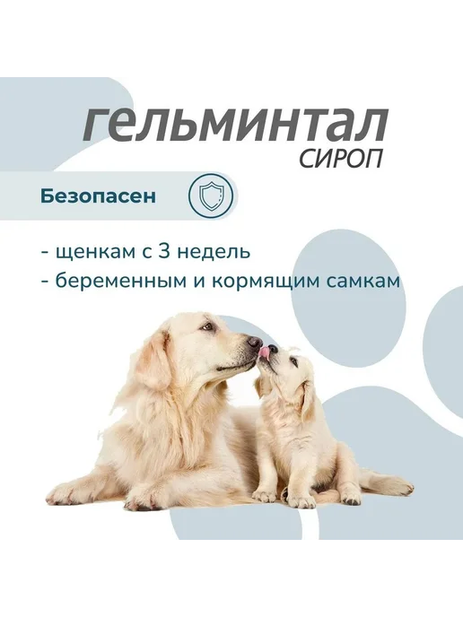 Neoterica Гельминтал для собак от гельминтов 10кг 10мл, 10 кг, 10 мл, фото 5