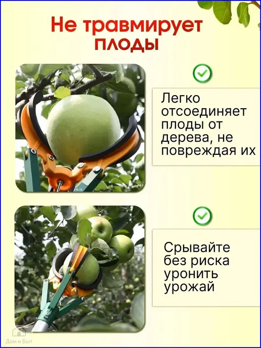 Овоще-фруктовый селекционный круг, 1 шт, 1 шт, фото 4