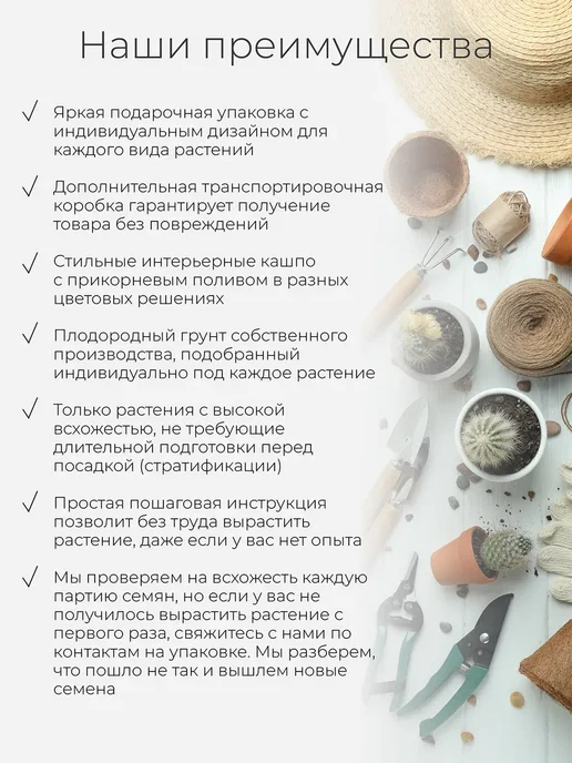 Магия Цветов Индийская сирень Набор для выращивания растений, голубой, фото 4