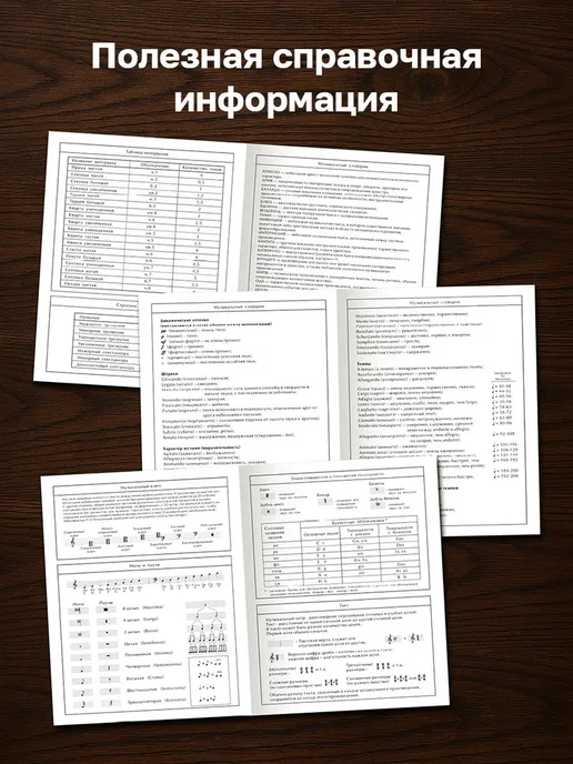 Дневник для музыкальной школы, вариант, фото 4