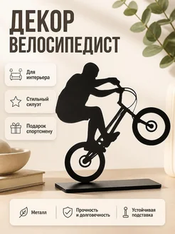 Настенный декор Велосипедист триал