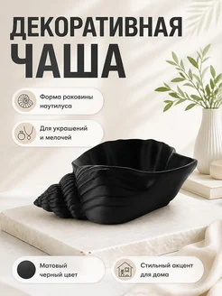 Декоративная чаша Раковина Наутилус