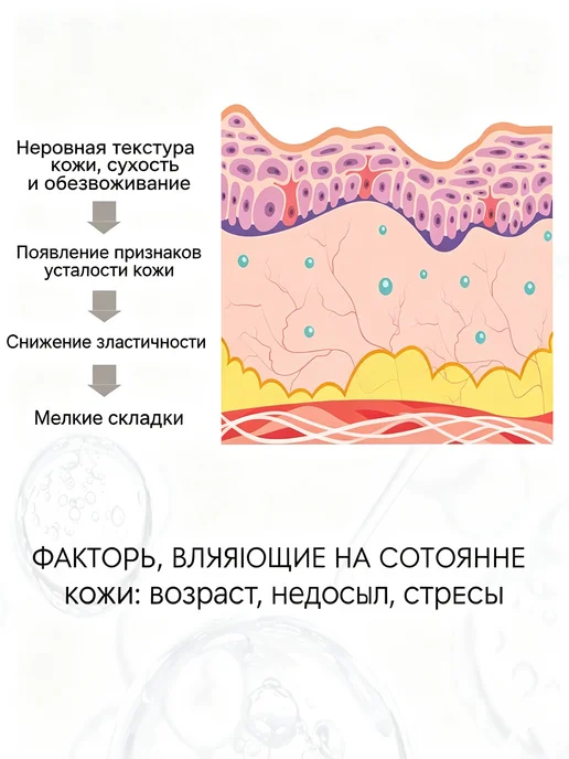 eelhoe Масло для лица с шиповником и жожоба, увлажнение, 30 мл, 30 мл, фото 4
