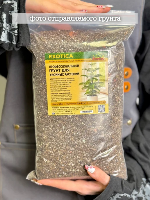 EXOTICA Грунт для хвойных растений (араукарии и др.) 2,5л, 2,5 л, фото 2
