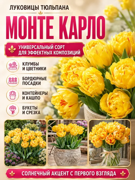 Луковицы Тюльпана Монте Карло 5 шт, 5 шт, фото 4