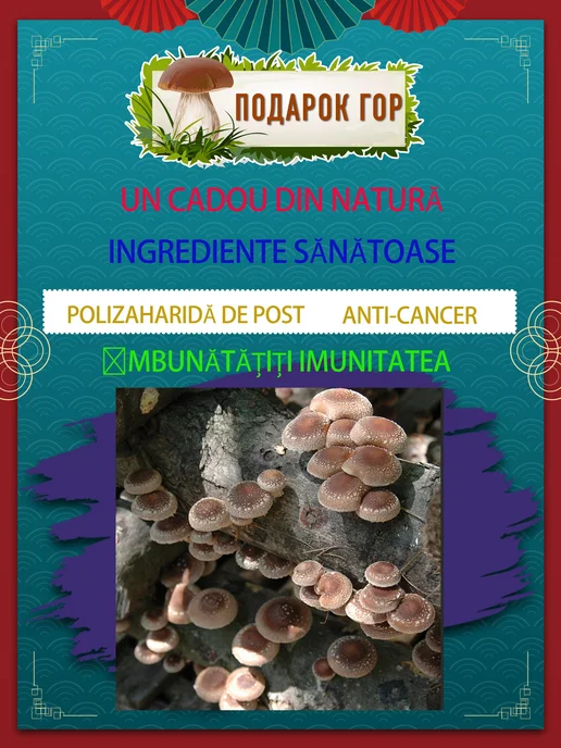 Сушеные грибы шиитаке,200g 2*100g, 200 г, 100 г, фото 2