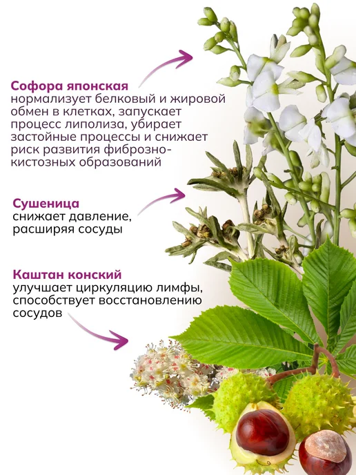 Противоцеллюлитный фитосбор для бани и сауны, 20, вариант, фото 5