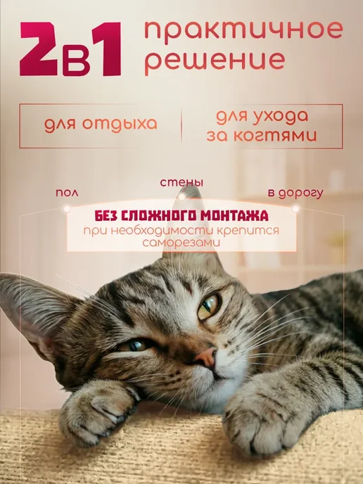 Когтеточка лежанка для кошек, напольная, настенная 30*50, 30x50, фото 2