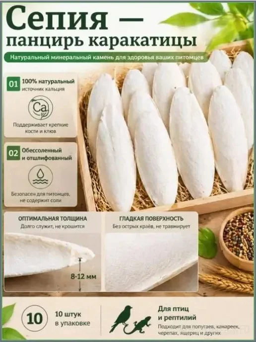 Натуральный обессоленный панцирь каракатицы, 10 шт, 10 шт