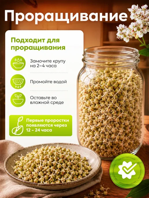 Алтайские угодья Гречка зеленая алтайская непропаренная 2 кг, 2 кг, фото 3