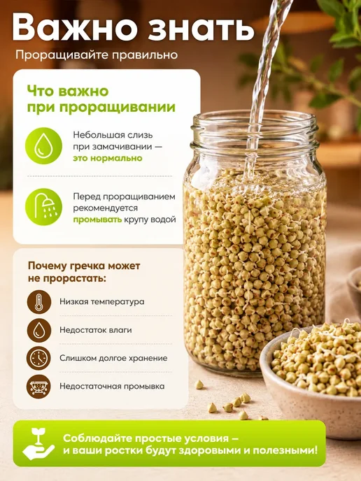 Алтайские угодья Гречка зеленая алтайская непропаренная 2 кг, 2 кг, фото 4