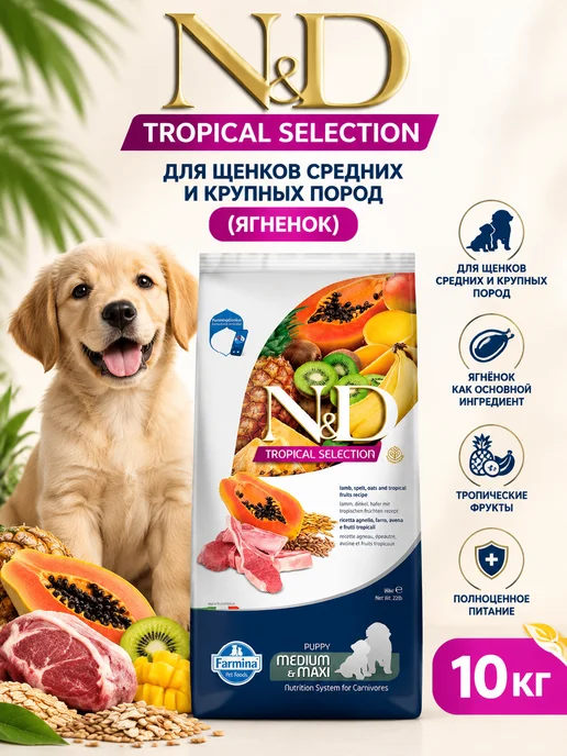 Сухой корм Farmina для собак, крупные, средние, щенки, свинина, 10 кг