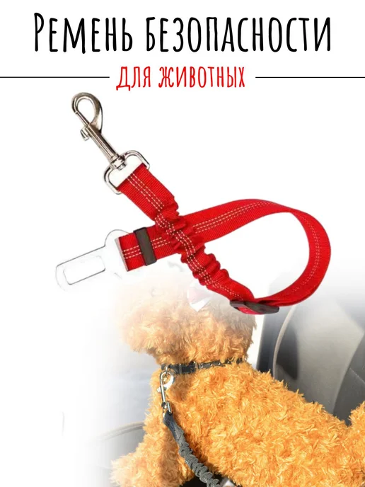 Ремень безопасности с карабином для собак и кошек красного, красный