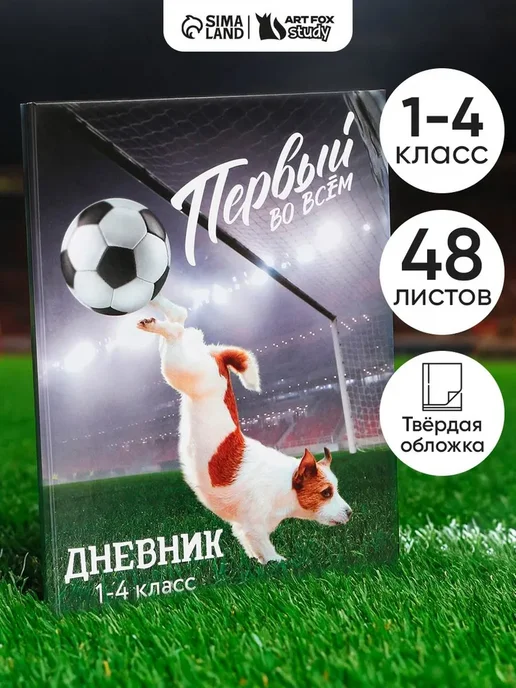 Дневник школьный 48 листов, вариант