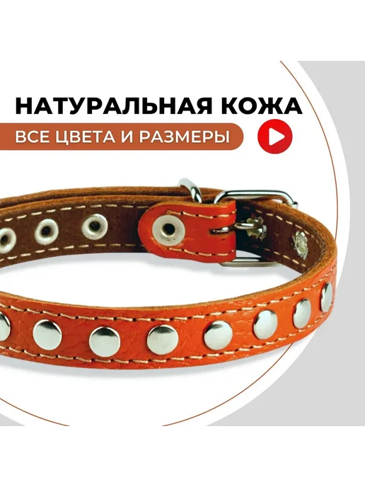 Ошейник кожаный для кошек и собак мелких пород, вариант