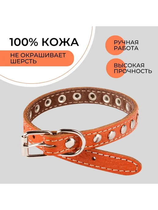 Ошейник кожаный для кошек и собак мелких пород, вариант, фото 2