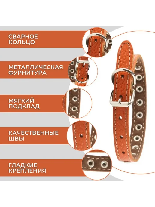 Ошейник кожаный для кошек и собак мелких пород, вариант, фото 3