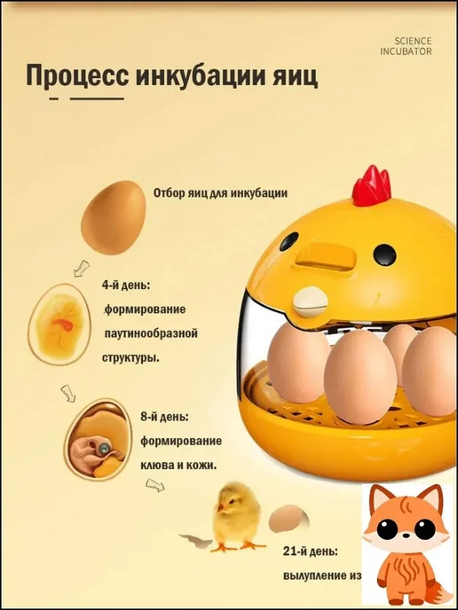 Автоматический инкубатор для 4 яиц, вариант, фото 4