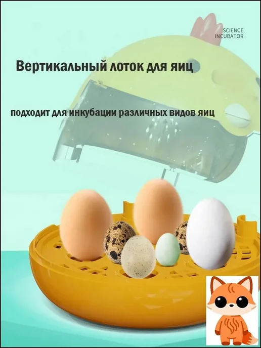 Автоматический инкубатор для 4 яиц, вариант, фото 5