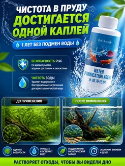 Очиститель воды в аквариуме от зелёных водорослей