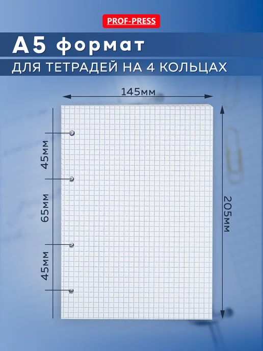 Prof-Press Сменный блок для тетради на кольцах А5 80 листов, белый, фото 2