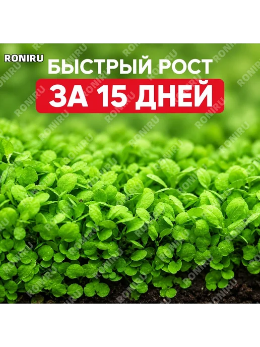 Базовое удобрение для аквариума 1 пакет, вариант, фото 2