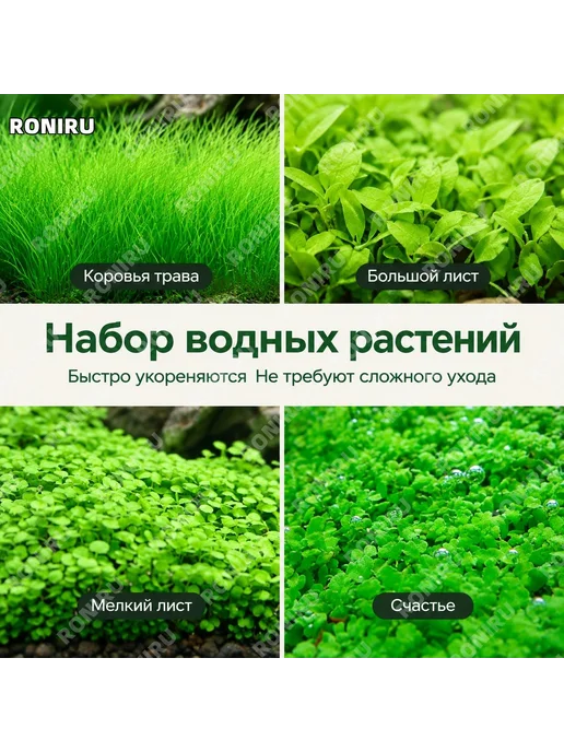 Базовое удобрение для аквариума 1 пакет, вариант, фото 6