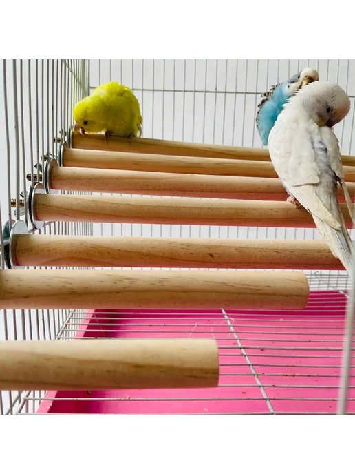 Нет бренда Деревянные жердочки для попугаев Jardin Bird Toys 1.5x20cm, бежевый, фото 3