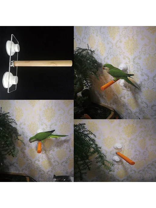 Нет бренда Деревянные жердочки для попугаев Jardin Bird Toys 1.5x20cm, бежевый, фото 5
