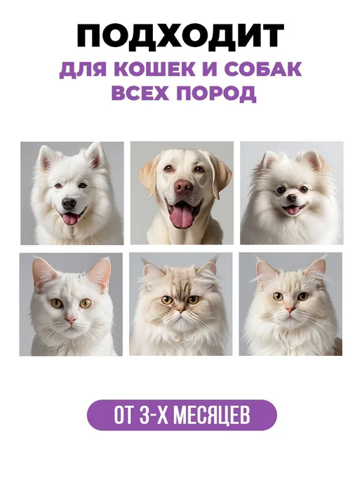 Spets Шампунь для белых собак и кошек, щенят, гипоаллергенный, л, белый, фото 5