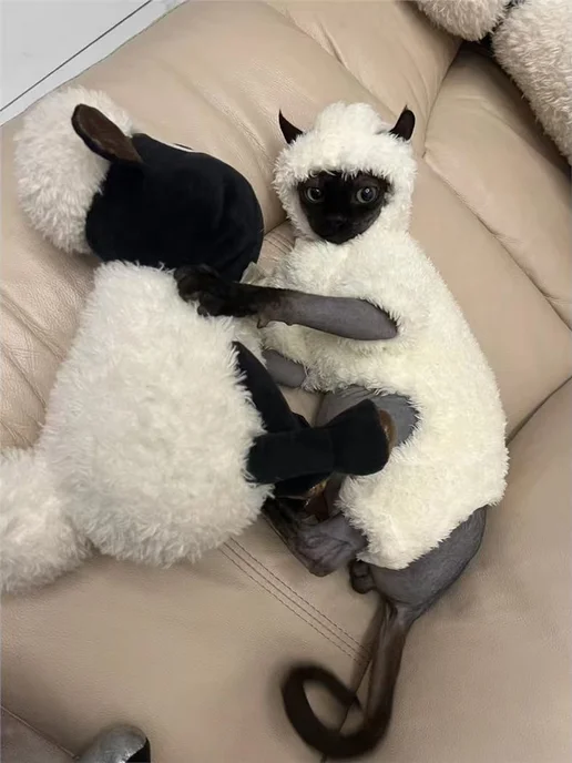 одежда для кошек размер M, белый, фото 3