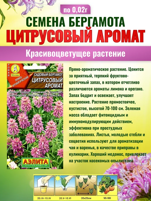 Агрофирма АЭЛИТА Семена бергамота Цитрусовый аромат садовый 2шт, 2 шт, фото 2