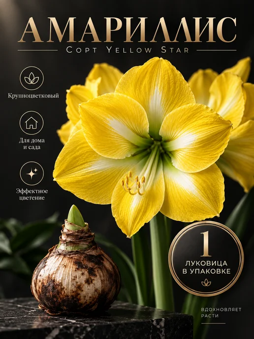 Амариллис Луковица Yellow Star 1 шт, 1 шт