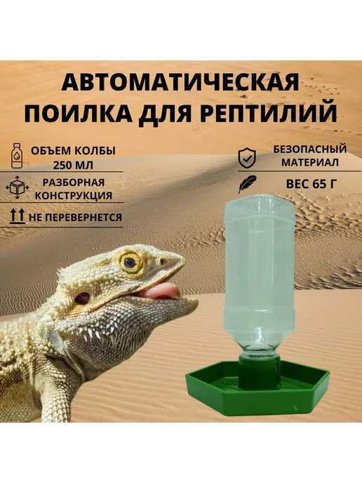 Нет бренда Кормушка-поилка для рептилий, вариант