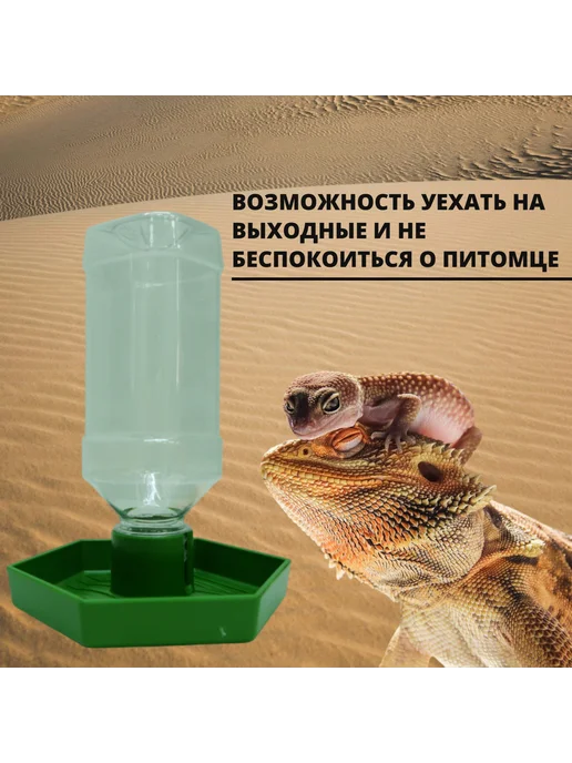 Нет бренда Кормушка-поилка для рептилий, вариант, фото 2