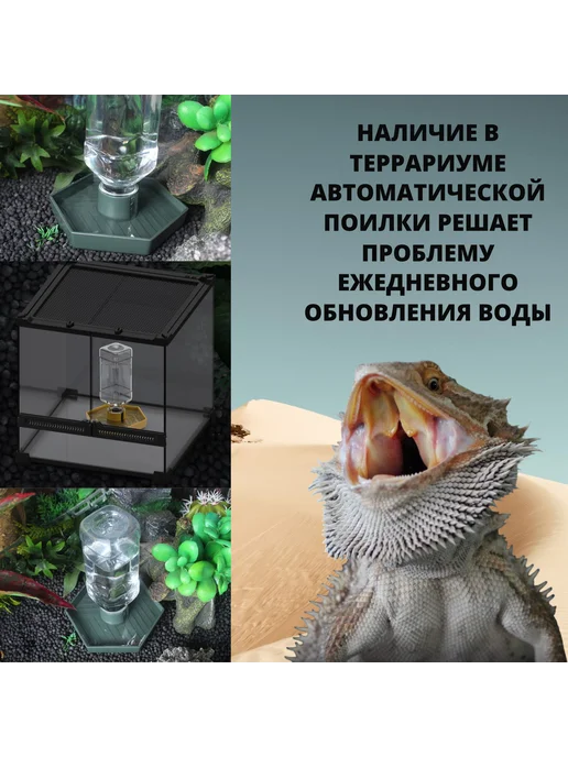 Нет бренда Кормушка-поилка для рептилий, вариант, фото 3