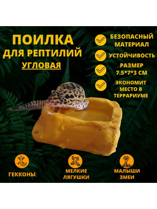 Нет бренда Кормушка-поилка для рептилий, вариант