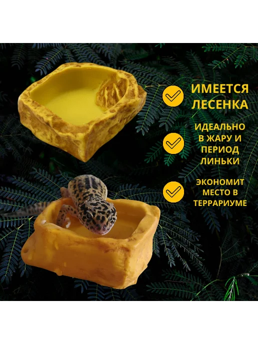 Нет бренда Кормушка-поилка для рептилий, вариант, фото 2