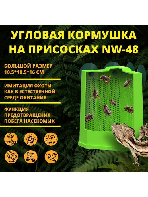 Нет бренда Кормушка-поилка для рептилий, вариант