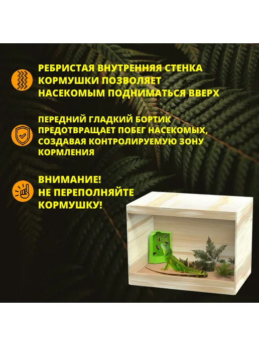 Нет бренда Кормушка-поилка для рептилий, вариант, фото 2