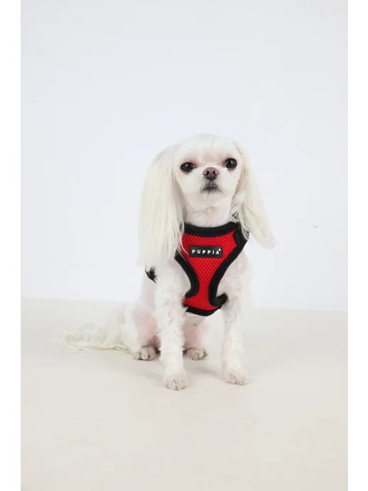 Шлейка для собак PUPPIA "Ritefit", красная, S (Южная Корея), красный, фото 3