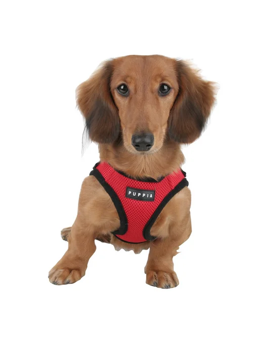 Шлейка для собак PUPPIA "Ritefit", красная, S (Южная Корея), красный, фото 6