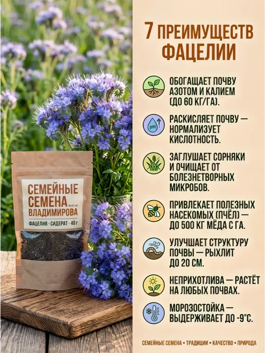 InHome ФАЦЕЛИЯ семена 40 г. (сидерат и медонос для пчел), 40 г, фото 4