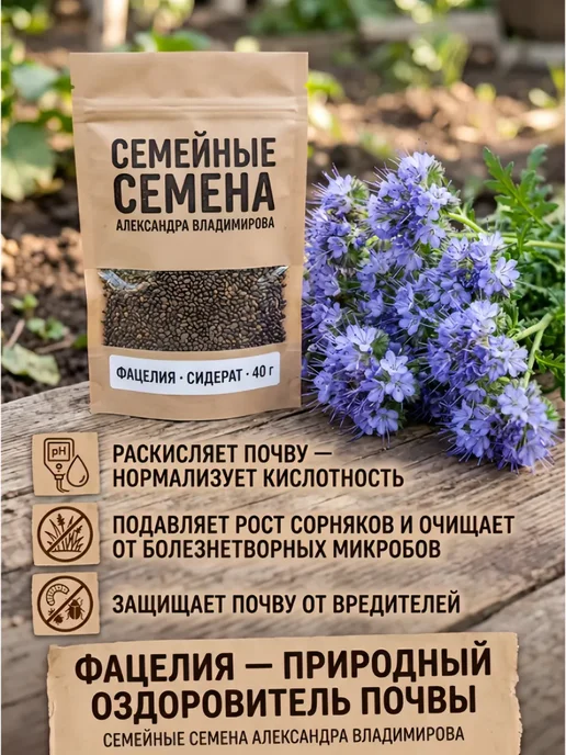 InHome ФАЦЕЛИЯ семена 40 г. (сидерат и медонос для пчел), 40 г, фото 7