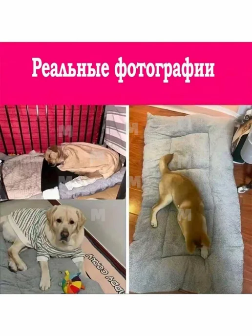 Лежанка для собак и кошек, плюшевая, 60×40 см, съемный чехол, 60x40 см, фото 2